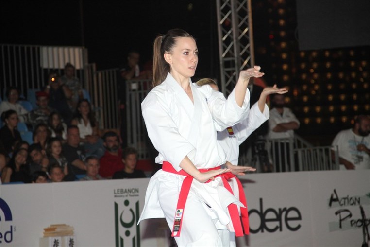 Martial Arts Festival